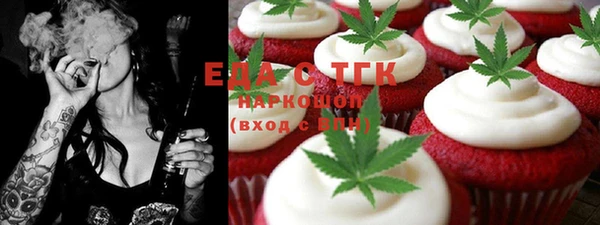 ECSTASY Алзамай