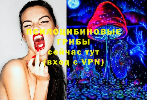 ECSTASY Алзамай