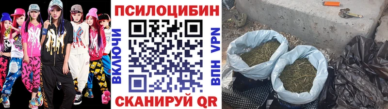 наркота  Каргат  Галлюциногенные грибы прущие грибы 